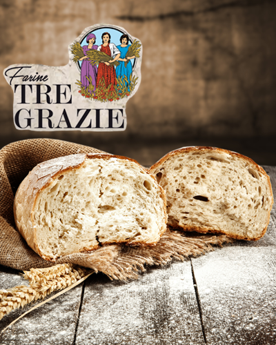 Type 2 Organic Stone-ground ancient grain flour made from 100% Italian Wheat